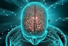 صورة علماء يطورون نظاما يحوّل أفكارنا الداخلية إلى نص أو كلام مسموع