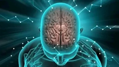 صورة علماء يطورون نظاما يحوّل أفكارنا الداخلية إلى نص أو كلام مسموع