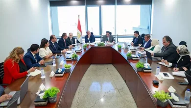 صورة وزير المالية: مصر تمتلك الأدوات والقدرات الكفيلة لمساندة صادراتها الطب