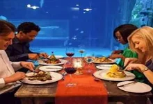 صورة 14 مطعما تحت الماء حول العالم.. وجبات بين أسراب الأسماك (صور)