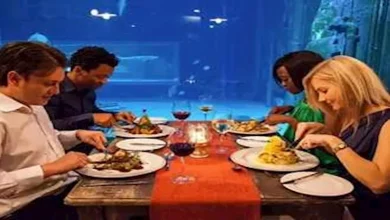 صورة 14 مطعما تحت الماء حول العالم.. وجبات بين أسراب الأسماك (صور)