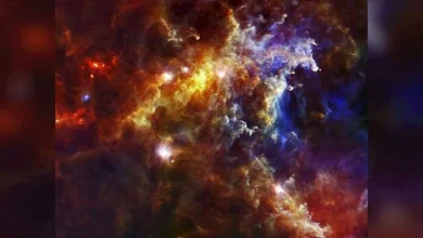 صورة 25 صورة من أعماق الكون.. دجاجة وشبح ورأس حصان ووجه مهرج