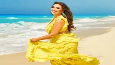صورة بالفيديو- نسرين طافش ترقص على أنغام أغنيتها “روقان”