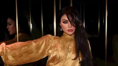 صورة “جامبسوت بدون بطانة”.. هيفاء وهبي تنشر جلسة تصوير والجمهور يعلق