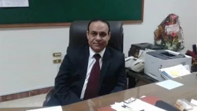 صورة خبير اقتصادي: مصر مرشحة لقيادة حركة التجارة والاستثمار في المنطقة