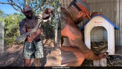 صورة فيديو حقق مليوني مشاهدة.. مواجهة عنيفة بين رجل وثعبان خطير وهذا ما حدث