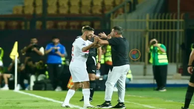 صورة شاهد هدف الزمالك الأول في شباك وادي دجلة (فيديو)