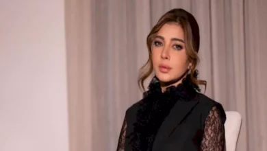 صورة أصالة عن حفلها في “جرش”: ليلة خيالية ساحرة