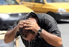 صورة من البرد إلى الحر.. كيف تتفاعل الأوعية الدموية مع تقلبات الحرارة؟
