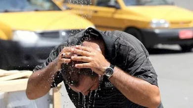 صورة من البرد إلى الحر.. كيف تتفاعل الأوعية الدموية مع تقلبات الحرارة؟