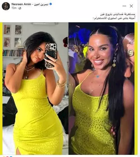نسرين أمين