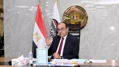 صورة “القابضة للغزل” تستهدف أرباحًا 9 ملايين جنيه العام الحالي لأول مرة منذ