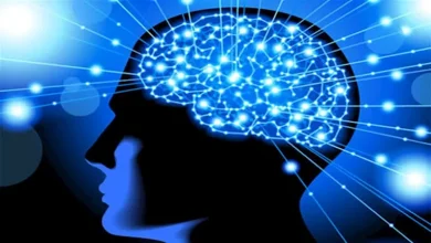 صورة 5 طرق لتقوية الدماغ وتعزيز الذاكرة.. تعرف عليها