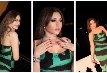 صورة إيه الفستان دا؟”.. الجمهور يعلق على أحدث ظهور لـ هيفاء وهبي