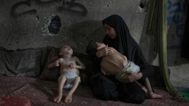 صورة 180 قتيلاً ضحايا التجويع في غزة  أخبار السعودية