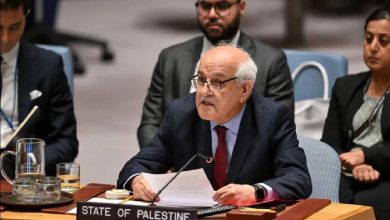 صورة مندوب فلسطين يطالب مجلس الأمن بتنفيذ إعلان نيويورك ووقف حرب غزة  أخبار السعودية