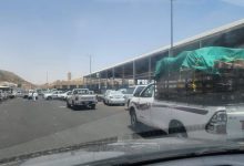 صورة «الزراعة» تكشف لـ«عكاظ»: هذه أسباب تأخر تنزيل المنتجات  أخبار السعودية