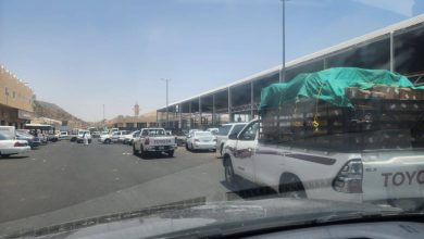 صورة «الزراعة» تكشف لـ«عكاظ»: هذه أسباب تأخر تنزيل المنتجات  أخبار السعودية