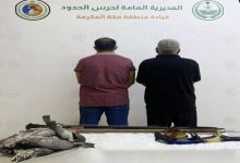 صورة ضبط مخالفين للائحة الأمن والسلامة لمزاولي الأنشطة البحرية بمنطقة مكة  أخبار السعودية