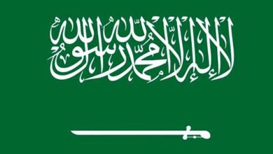 صورة المملكة: استمرار جرائم الاحتلال الإسرائيلي بحق الشعب الفلسطيني تهديد لشرعية النظام الدولي  أخبار السعودية