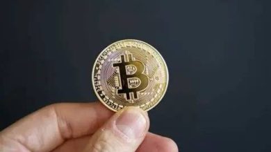 صورة موقع مزيف يكلف ضحية ثروته.. مستثمر بريطاني يخسر ملايينه في لحظات  أخبار السعودية