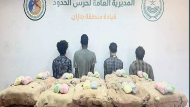 صورة جازان: القبض على 4 مخالفين لتهريبهم 400 كيلوغرام من نبات القات  أخبار السعودية