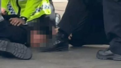 صورة بسلاح «مُقلد».. مراهق يثير الرعب عقب مباراة تشيلسي وفولهام  أخبار السعودية