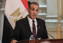 صورة وزير الخارجية المصري: اتصالات مكثفة لزيادة الاعتراف الدولي بفلسطين