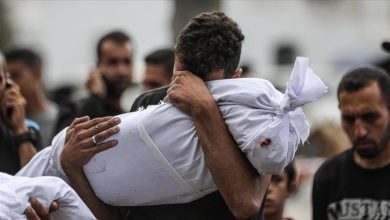 صورة 94 شهيدا و439 إصابة خلال يوم في قطاع غزة