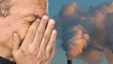 صورة | الطراونة .. تلوث الهواء والتغيرات المناخية بحاجة الى منظومة وطنية متكاملة لمراقبة جودة الهواء وتحسينها