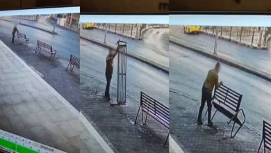 صورة | مصدر لـ”رؤيا”: القبض على شخص خلع مقاعد عامة في عمان وسرقها.. فيديو