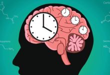 صورة | صورة واحدة لدماغك تكشف أسرار شيخوختك.. اختراق علمي جديد يتنبأ بالأمراض والموت المبكر