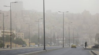 صورة | شركة توزيع الكهرباء: لا انقطاعات مبرمجة خلال الأسبوع الحالي.. تزامنا مع الموجة الحارة