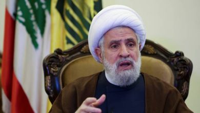 صورة | بعد لقائه لاريجاني.. نعيم قاسم: حزب الله لن يسلّم السلاح حتى لو أدى إلى معركة كربلائية
