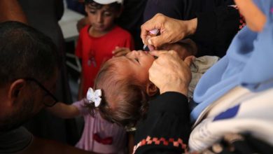 صورة | مجمع الشفاء الطبي: فيروس جديد ينتشر في قطاع غزة.. وهذه أعراضه