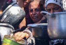 صورة | مديرة الهجرة الدولية: غزة تواجه المجاعة والمعاناة تتفاقم وسط الحاجة إلى وقف العدوان