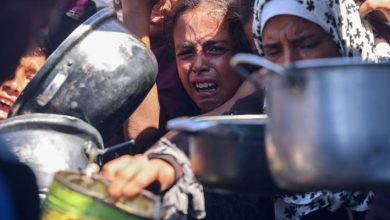صورة | مديرة الهجرة الدولية: غزة تواجه المجاعة والمعاناة تتفاقم وسط الحاجة إلى وقف العدوان
