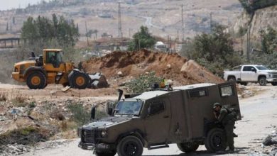 صورة الضفة: مستوطنون يهاجمون فلسطينيين ويقطعون أشجار زيتون (فيديو)