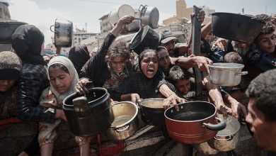 صورة مسؤول أممي: إسرائيل تدير آلة تجويع ممنهجة في غزة والعالم لا يملك عذرا للصمت