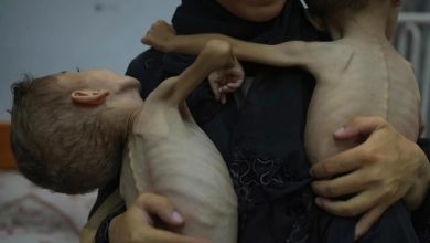 صورة غزة: أكثر من 1.2 مليون طفل يعانون من انعدام أمن غذائي حاد
