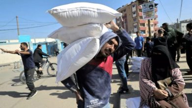 صورة استشهاد 31 فلسطينيا بنيران إسرائيلية في غزة منهم من كان ينتظر المساعدات 