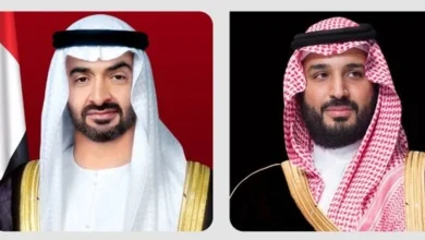 صورة ولي العهد يبحث تطورات المنطقة مع رئيس الإمارات