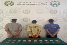 صورة القبض على 3 أشخاص بالمنطقة الشرقية لترويجهم الحشيش وأقراصًا مخدرة