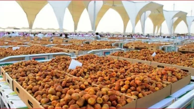 صورة كرنفال بريدة للتمور يشهد ارتفاعًا في أعداد المركبات وكميات التمور