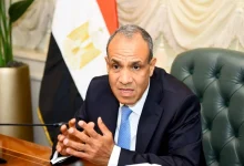 صورة وزير الخارجية المصري: بلدنا المتضرر الأكبر من حوادث البحر الأحمر