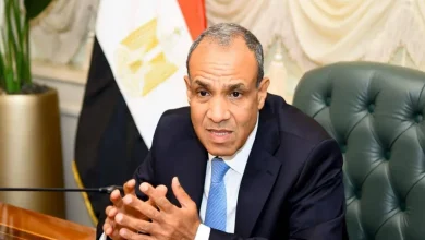 صورة وزير الخارجية المصري: بلدنا المتضرر الأكبر من حوادث البحر الأحمر