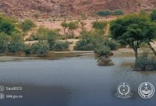 صورة الدفاع المدني يدعو للابتعاد عن المناطق المنخفضة وتجمعات المياه وبطون الأودية