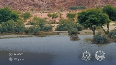 صورة الدفاع المدني يدعو للابتعاد عن المناطق المنخفضة وتجمعات المياه وبطون الأودية