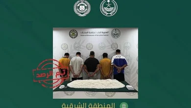 صورة بالفيديو.. القبض على 5 مقيمين في المنطقة الشرقية لترويجهم 32 كيلوجرامًا من الشبو