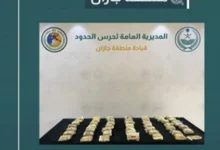 صورة إحباط تهريب 100 ألف قرص من الإمفيتامين المخدر في جازان